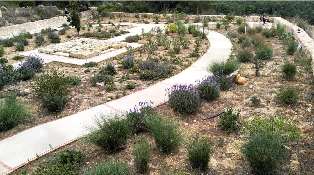 rehabilitación de paisaje y camino con muro y flores y plantas