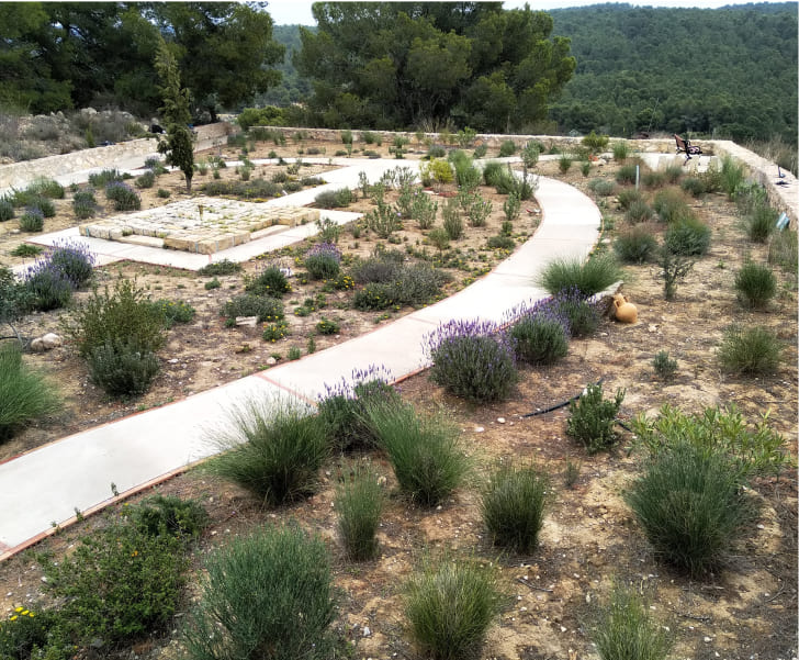 rehabilitación de paisaje y camino